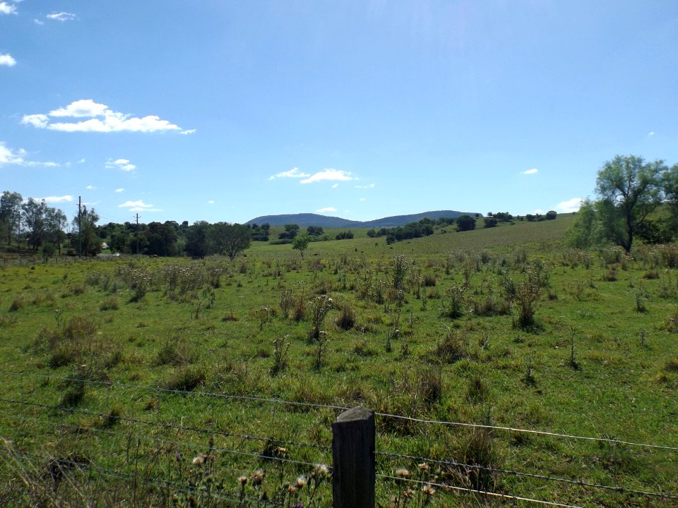 Fields at Hoya, Queensland