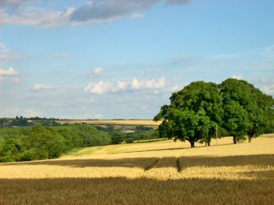 Fields at Middle Aston 2