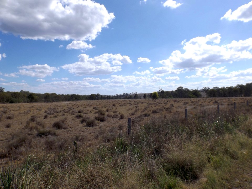 Fields at Douglas