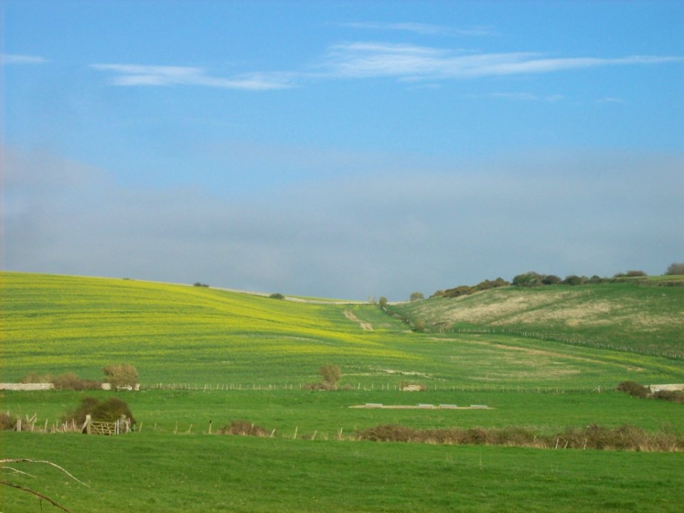 Fields at Bishopstone 1