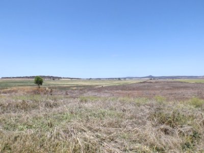 Fields at Motley