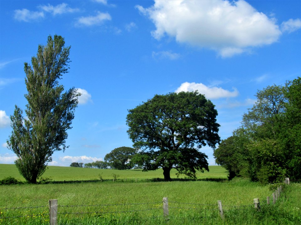 Fields at Hooe