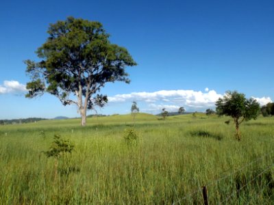 Fields along Markwell Creek Road at Cryna, Queensland 2 photo