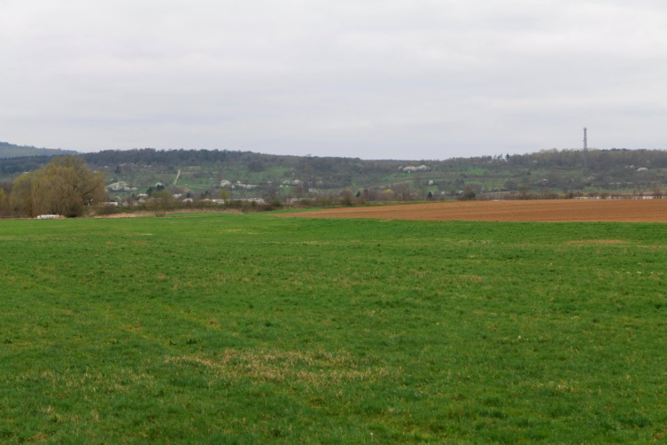 Fields and meadows in Ockstadt 2021-04-02 03