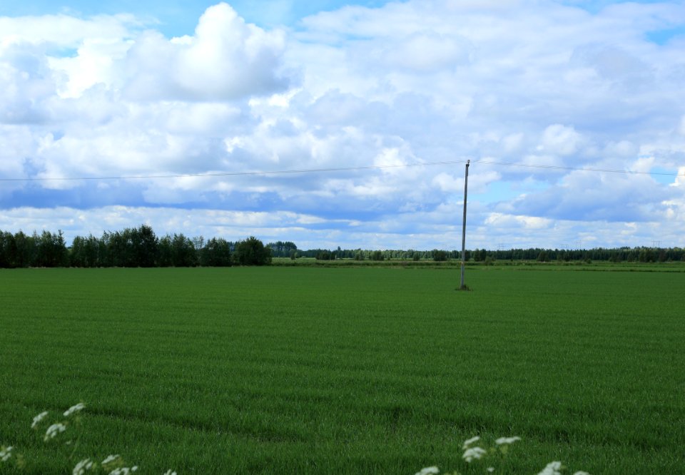 Fields Tyrnävä 20170627 02