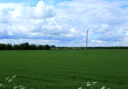 Fields Tyrnävä 20170627 02