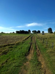 Fields at Teviotville