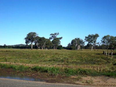 Fields along Kengoon Road Silverdale