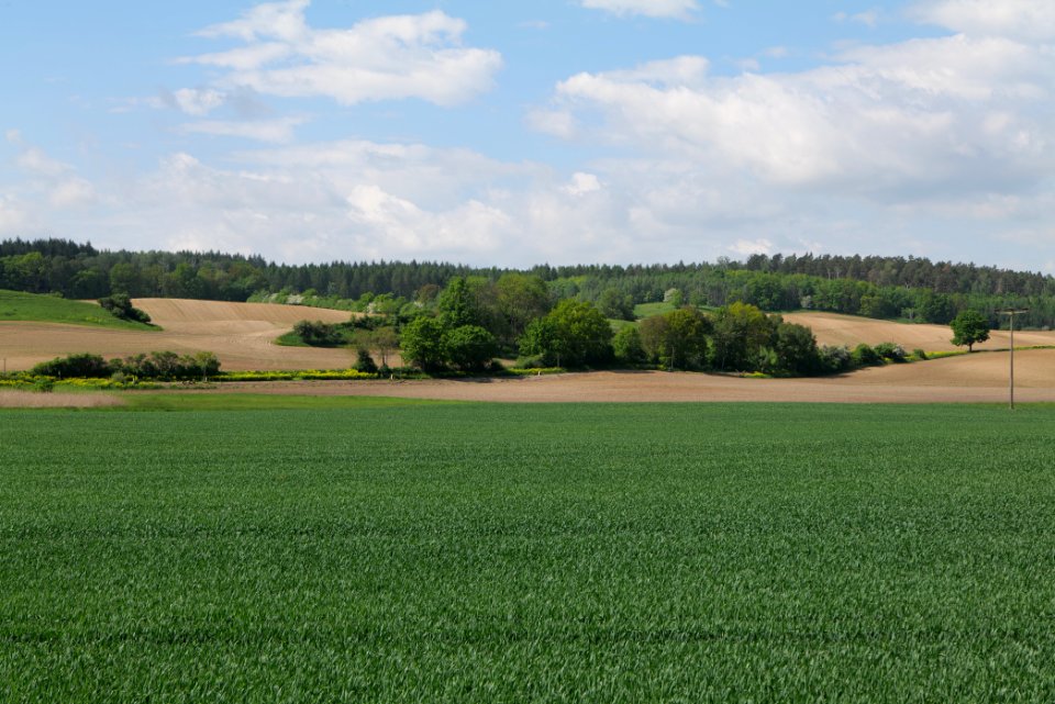 Field in Berkholz 2021-05-29 10