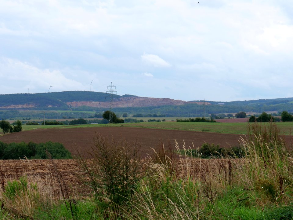 Field near Bergbuir 03