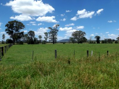 Fields along Alan Creek Road at Gleneagle, Queensland photo