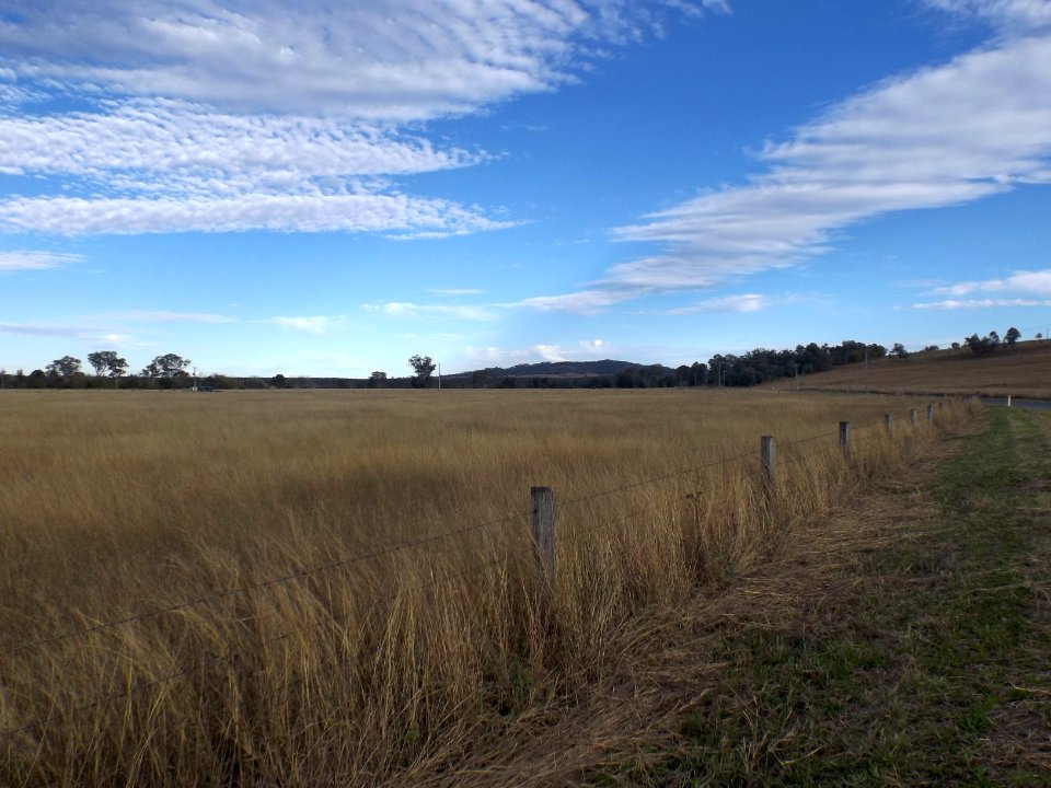 Fields 2 at Mount Mort, Queensland