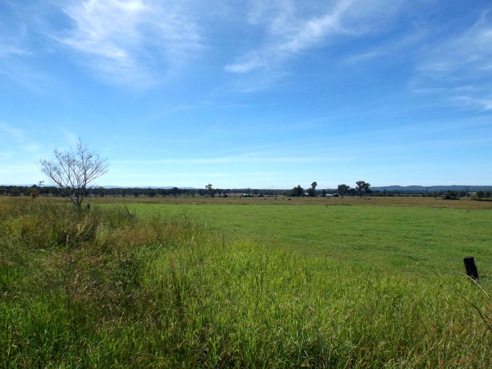 Fields at Mutdapilly
