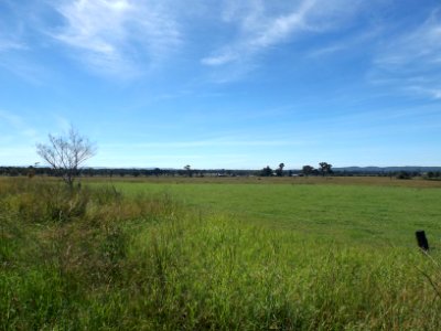Fields at Mutdapilly