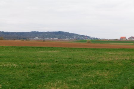 Fields and meadows in Ockstadt 2021-04-02 02