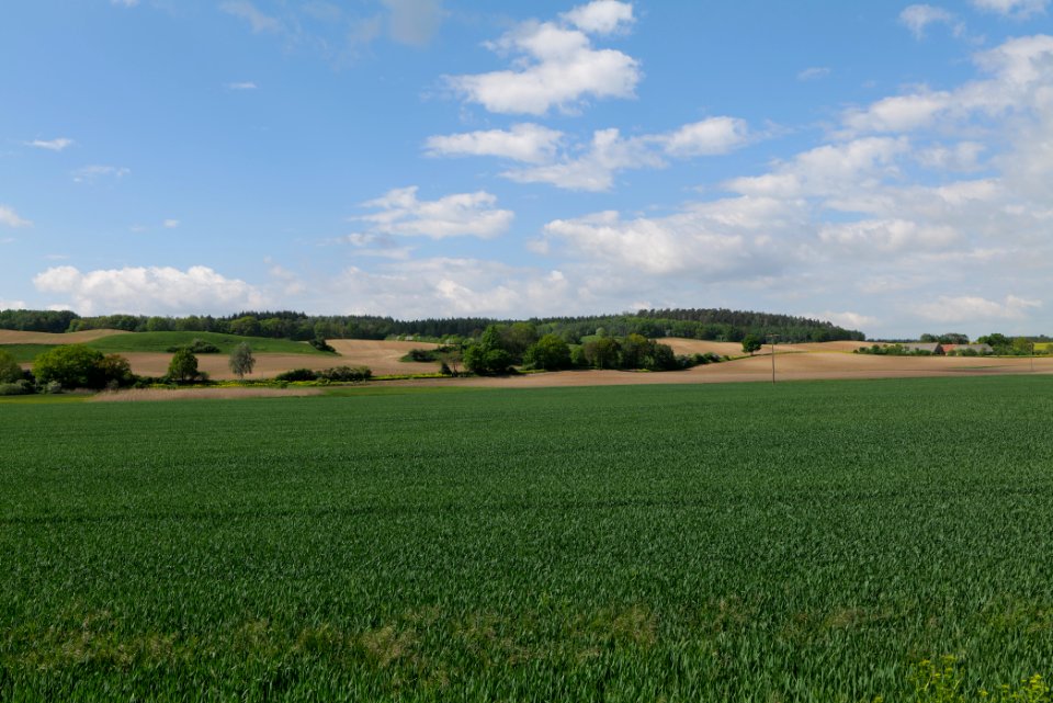 Field in Berkholz 2021-05-29 08