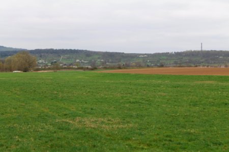 Fields and meadows in Ockstadt 2021-04-02 04