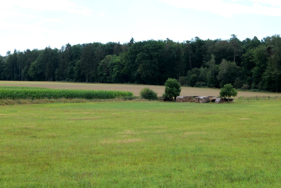 Fields near Niederklein 2020-08-21 17