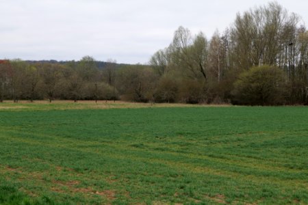 Fields and meadows in Ockstadt 2021-04-02 15