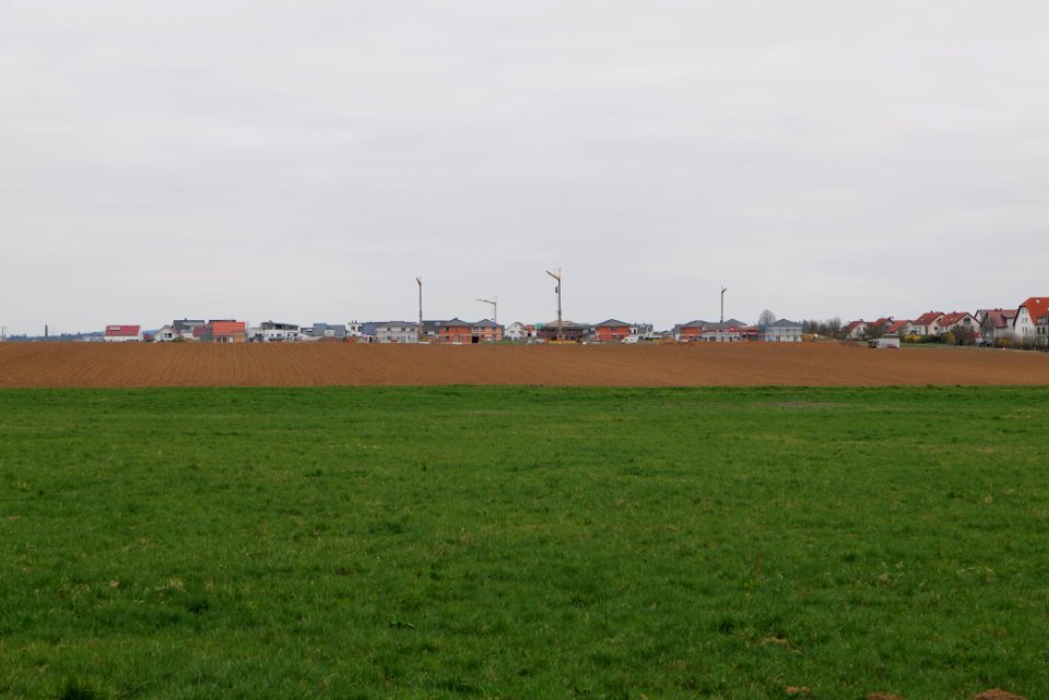 Fields and meadows in Ockstadt 2021-04-02 10