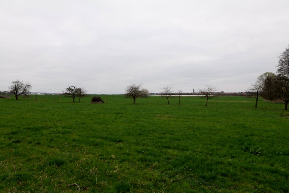 Fields and meadows in Ockstadt 2021-04-02 21