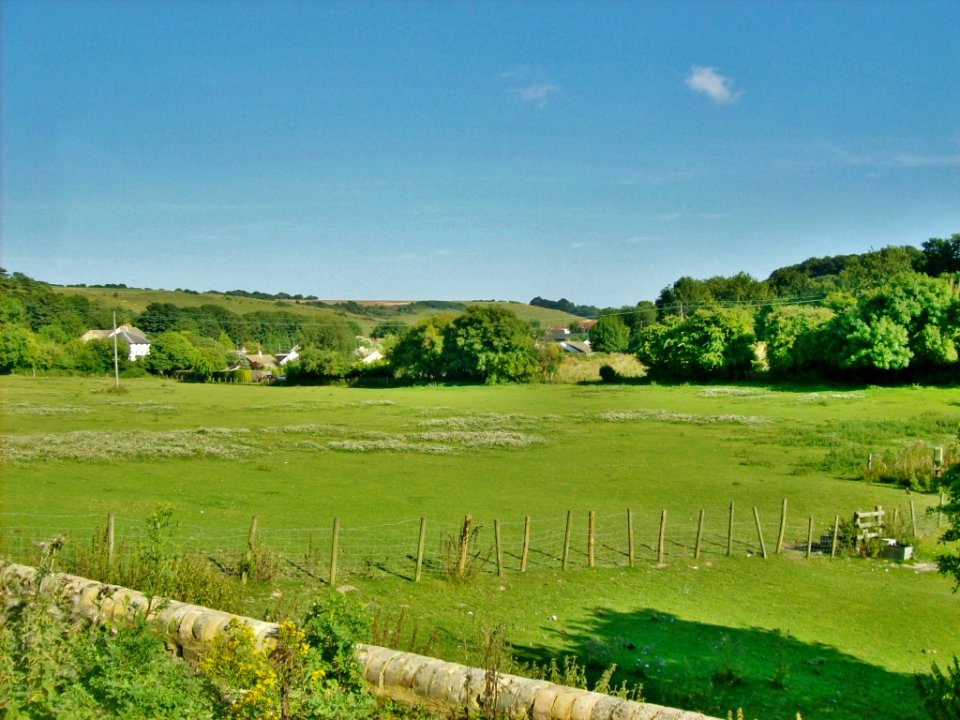 Fields at Lydden