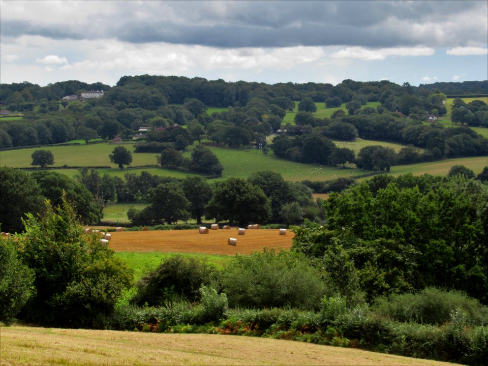 Fields at Burwash