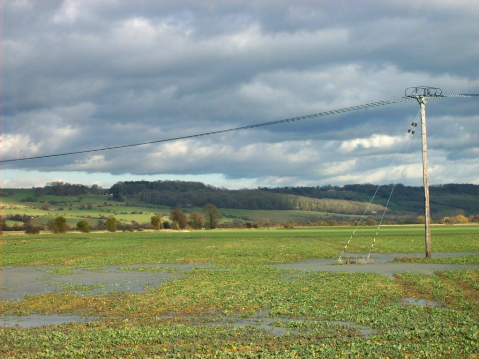 Fields near Aldington