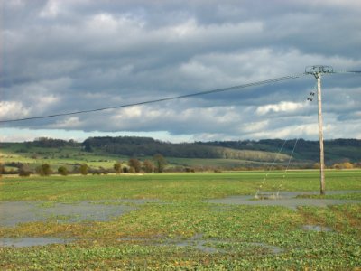 Fields near Aldington