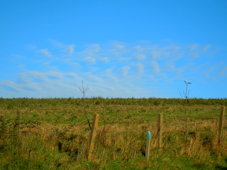 Fields at Fox Way, Mile Oak (November 2015)