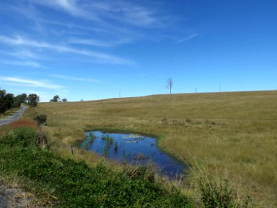 Fields at Coleyville 2