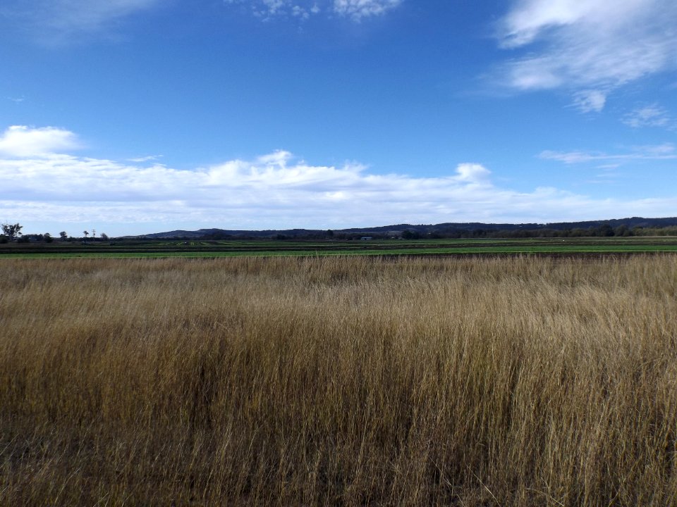 Fields at Laidley Heights