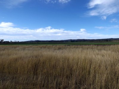 Fields at Laidley Heights