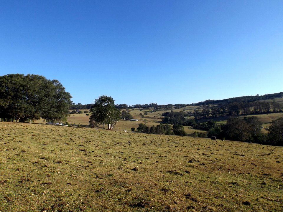 Fields at Ravensbourne