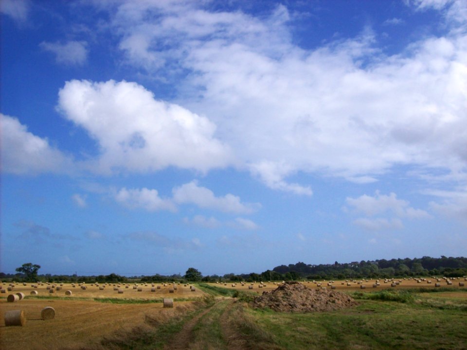 Fields near Winchelsea