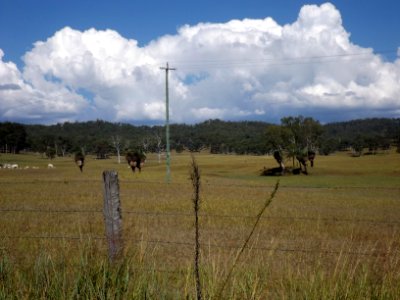 Fields at Oaky Creek, Queensland 2