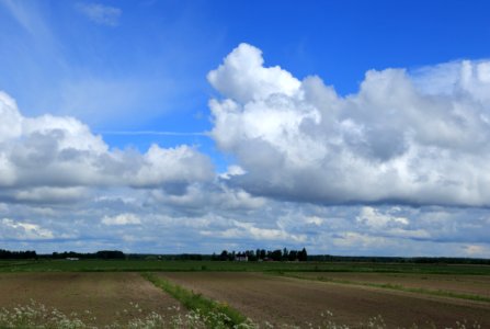 Fields Tyrnävä 20170627 03