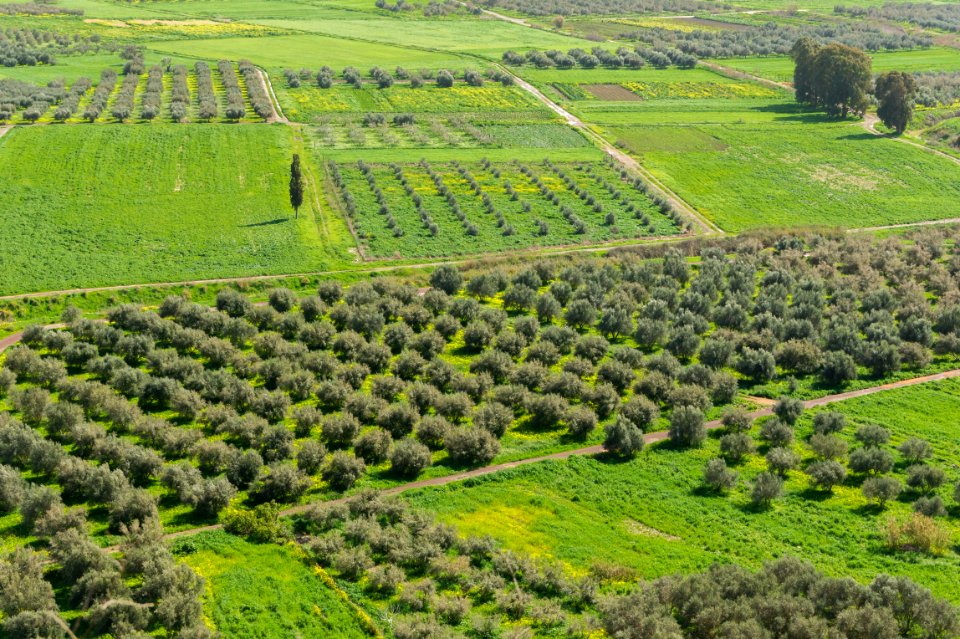 Fields Messara plain from Phaistos Crete Greece