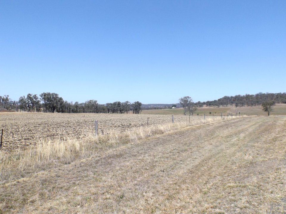 Fields at Broxburn