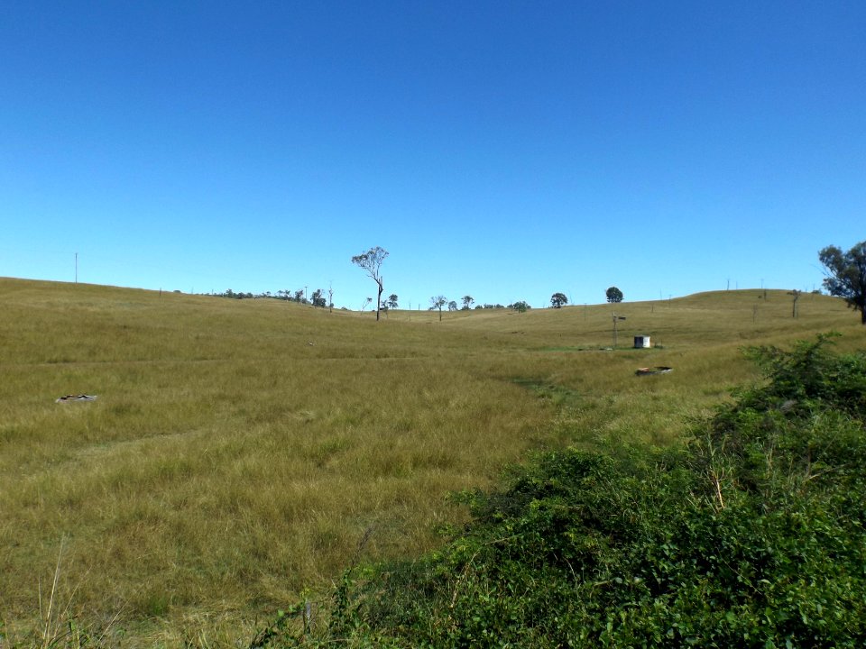 Fields at Coleyville