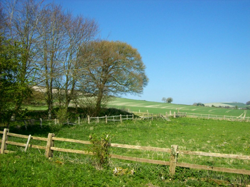 Fields at Upwaltham