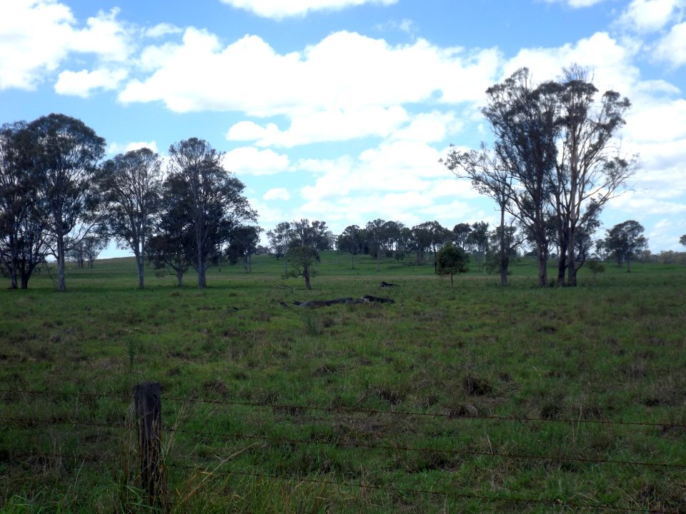 Fields in Woodhill, Queensland 2