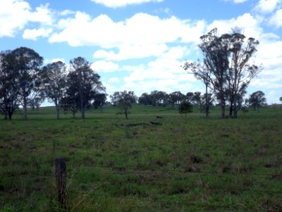 Fields in Woodhill, Queensland 2 photo