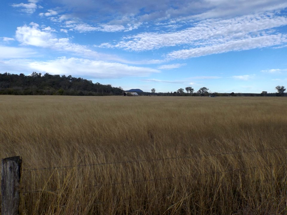 Fields at Mount Mort, Queensland