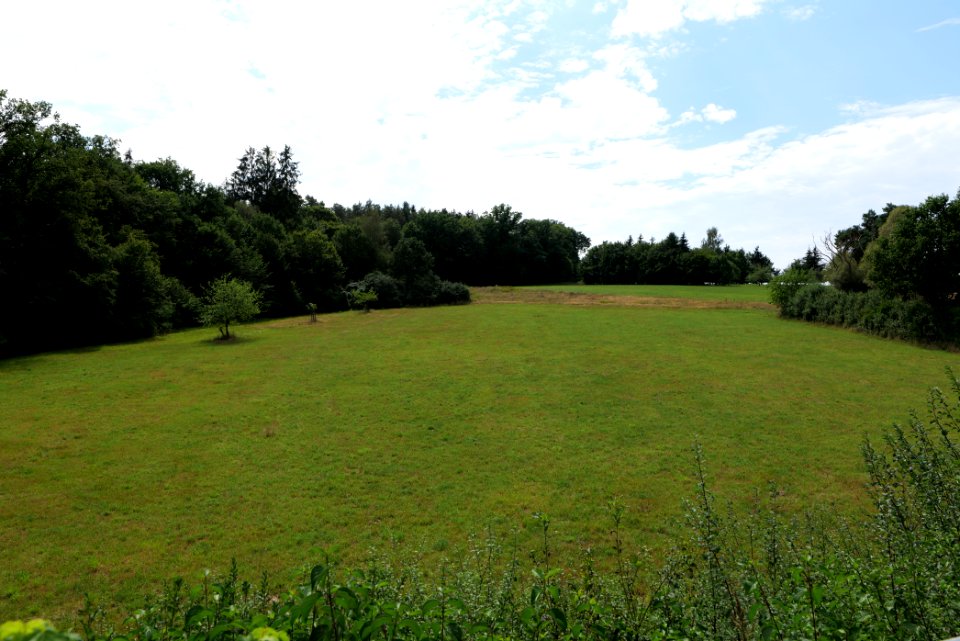 Fields near Niederklein 2020-08-21 24