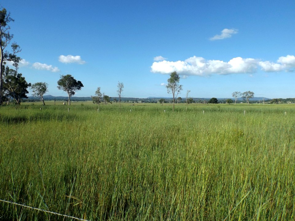 Fields along Markwell Creek Road at Cryna, Queensland
