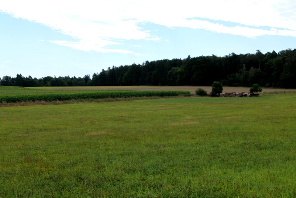 Fields near Niederklein 2020-08-21 18