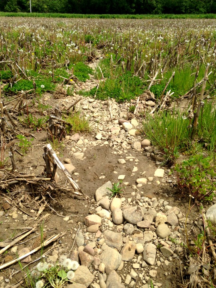 Field wash erosion