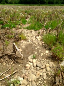 Field wash erosion