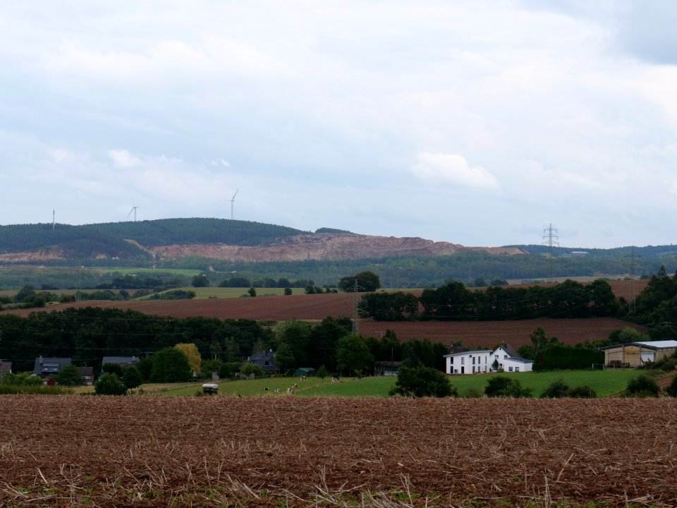 Field near Bergbuir 05
